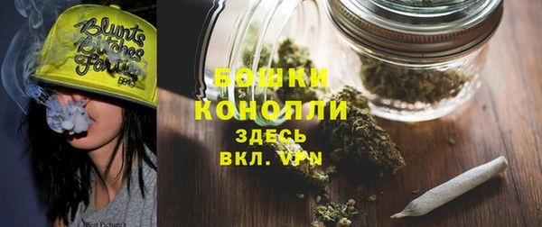 амф Верея