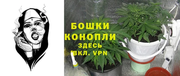 трава Бронницы